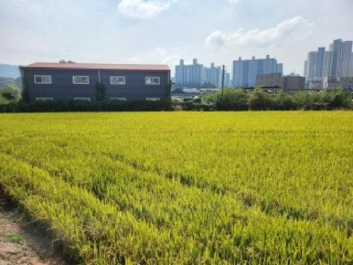 경기도 양주시 옥정동 414