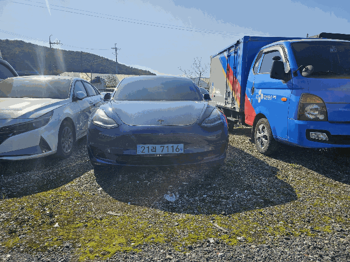 테슬라 Model 3 Long Range 2020년식