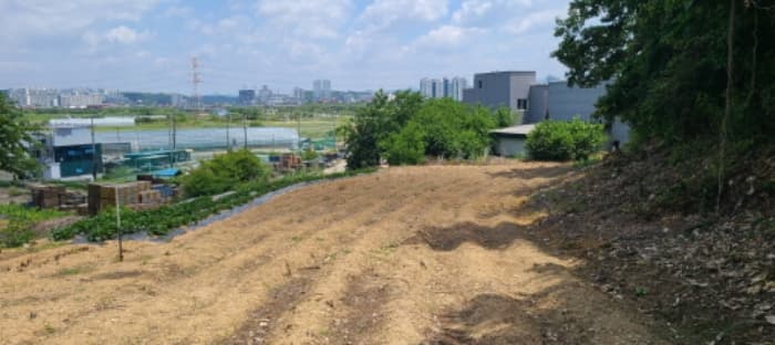 경기도 파주시 하지석동 157-3