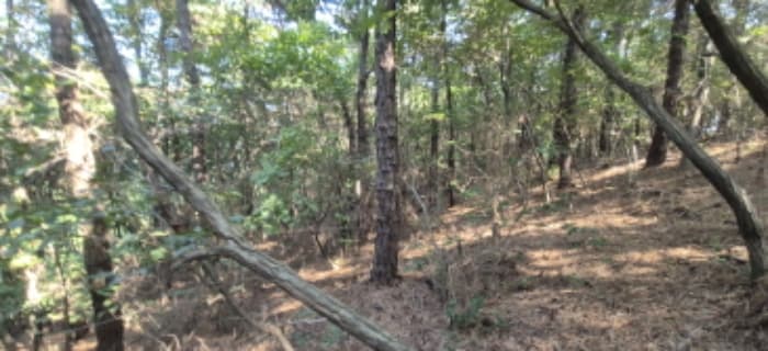 경기도 고양시 덕양구 주교동 산61-2