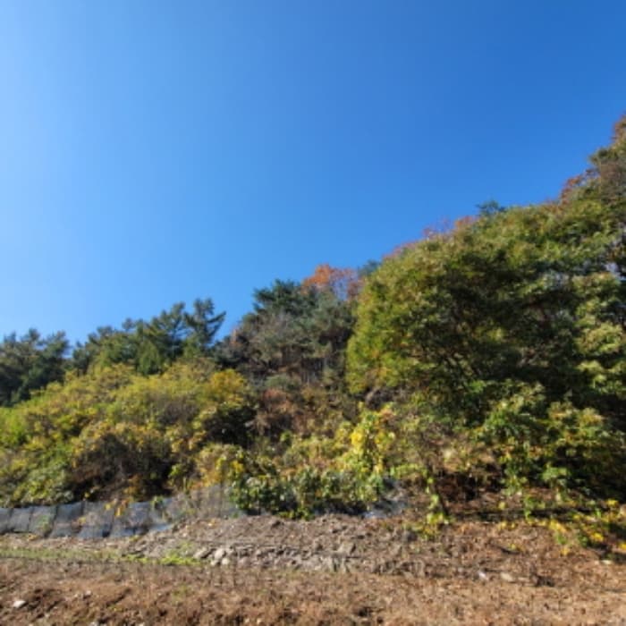 경기도 파주시 광탄면 발랑리 산83