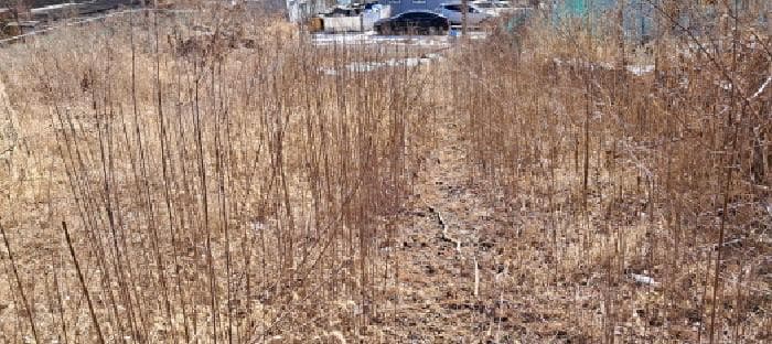 경기도 파주시 파주읍 파주리 205-8