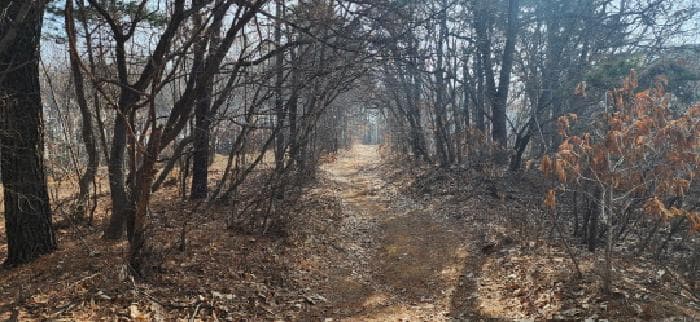 경기도 파주시 문산읍 당동리 산83