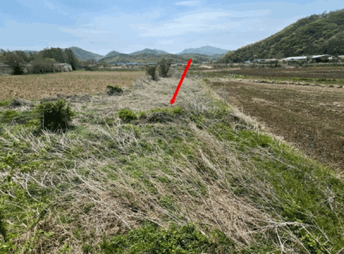 경기도 파주시 적성면 어유지리 359-8