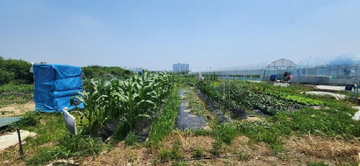 경기도 고양시 일산서구 가좌동 923-1