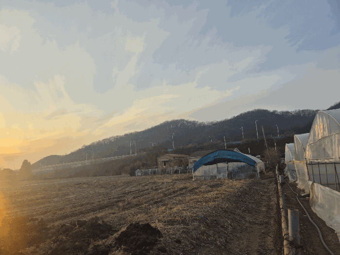 경기도 파주시 적성면 장현리 387