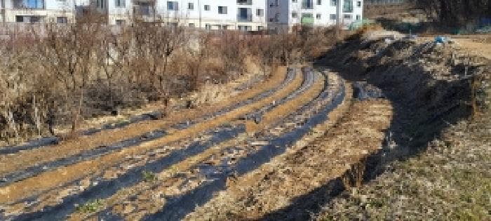 경기도 파주시 야당동 산53-3