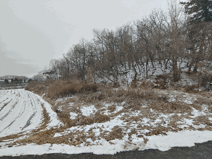 경기도 파주시 문산읍 사목리 216