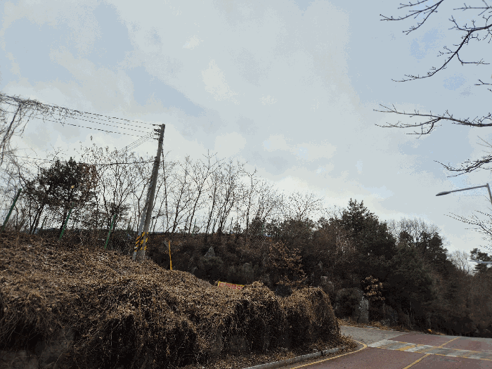 경기도 파주시 문산읍 당동리 512-19