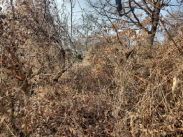 인천광역시 강화군 삼산면 석모리 306-1