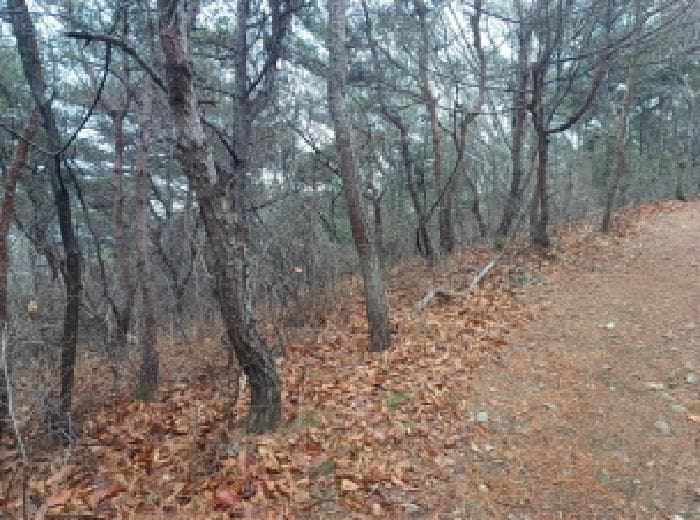 인천광역시 옹진군 영흥면 내리 산420-3