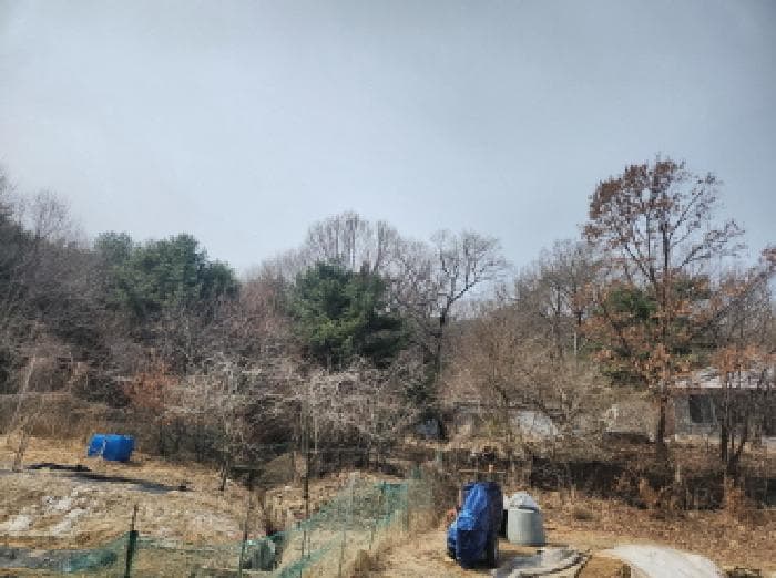 인천광역시 강화군 양사면 철산리 90-25