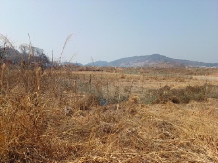 인천광역시 옹진군 북도면 신도리 708-5