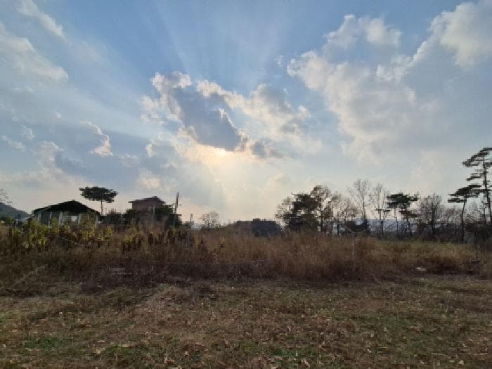 인천광역시 옹진군 영흥면 내리 572-9