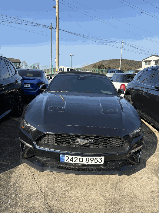 포드 Mustang 2.3 Convertible 2021년식