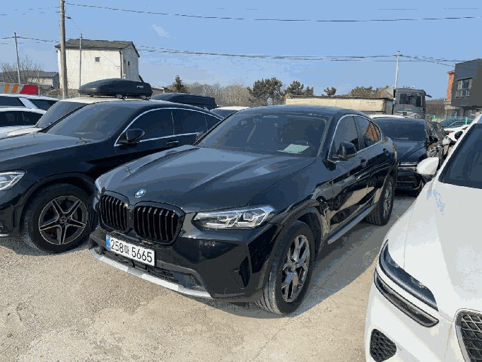 BMW BMW X4 xDrive20i 2024년식