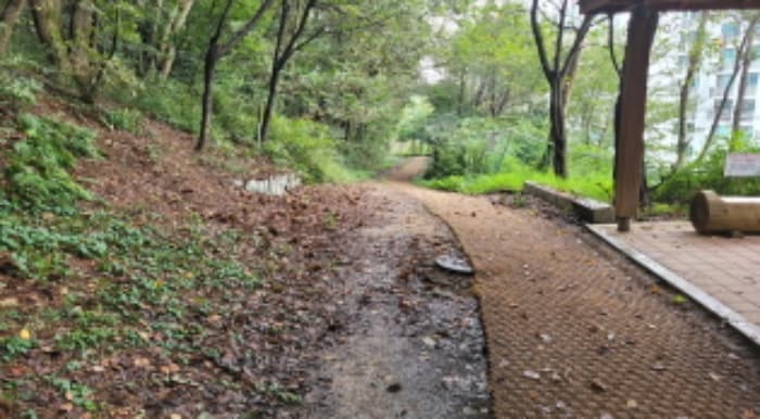 경기도 김포시 사우동 산44
