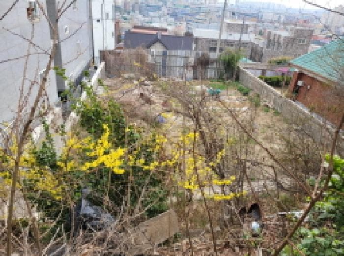 경기도 김포시 사우동 1268