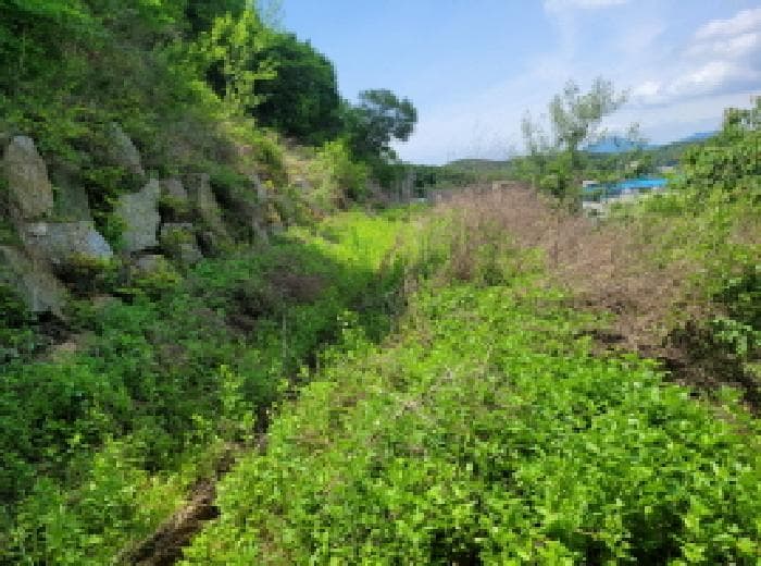 경기도 김포시 대곶면 대명리 산82
