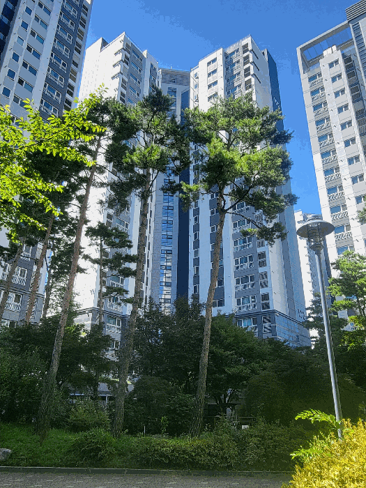 경기도 부천시 소사구 송내동 409 송내자이 102동 18층1801호
