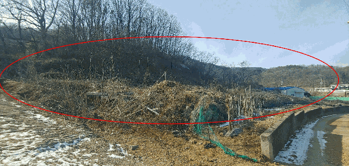 경기도 김포시 월곶면 조강리 271-4