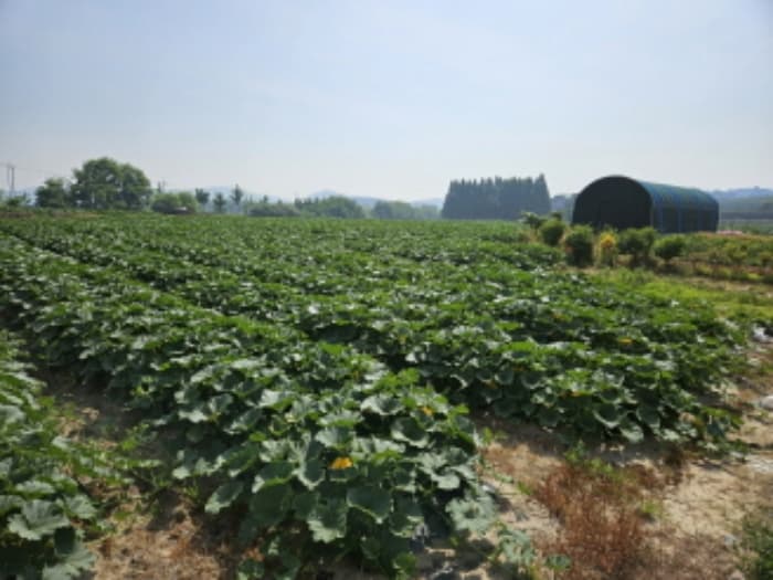 경기도 화성시 향남읍 3.1만세로 897-7