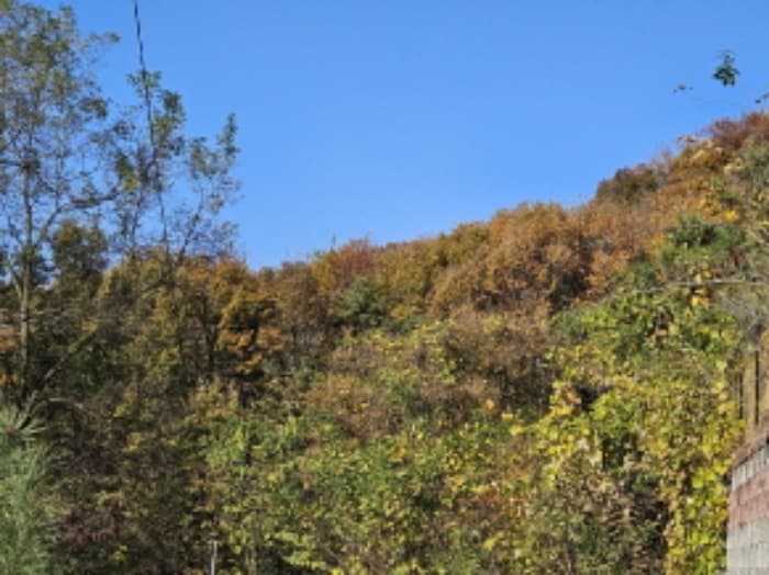 경기도 용인시 처인구 원삼면 맹리 산57-4