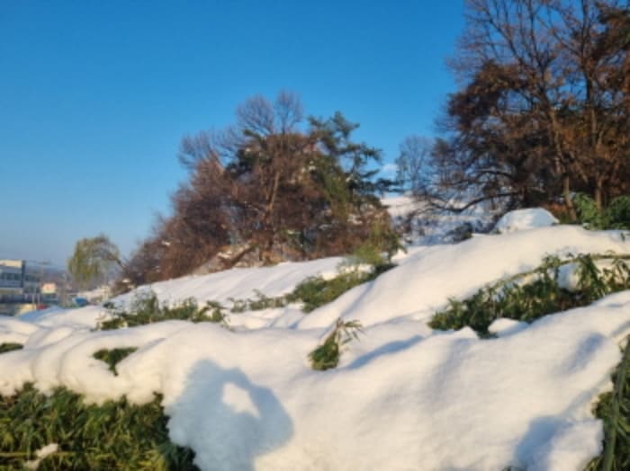 경기도 화성시 남양읍 남양리 1117-1