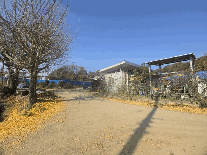 경기도 화성시 장안면 덕다리 512-13