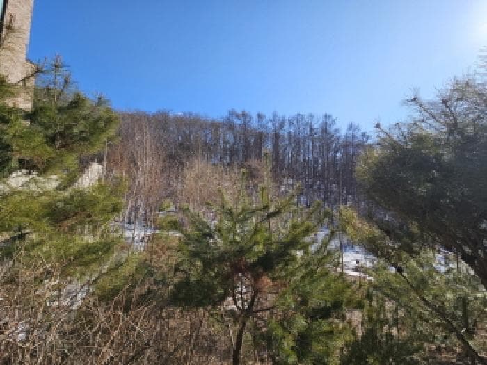경기도 용인시 처인구 양지면 평창리 산47