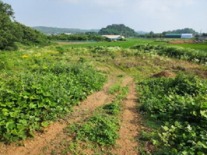 경기도 화성시 우정읍 석천리 산10-10