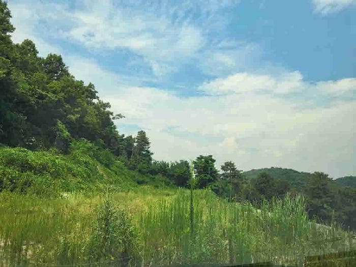 경기도 화성시 서신면 홍법리 131-10