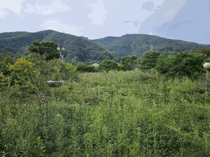 경기도 광주시 회덕동 156-3