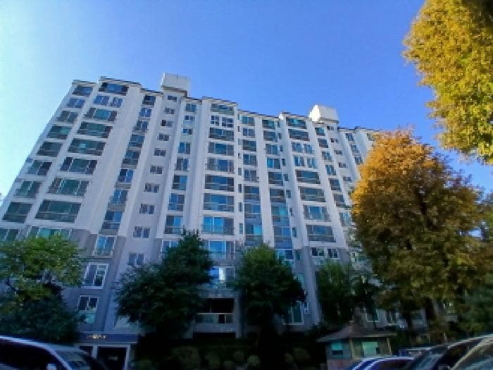 경기도 성남시 분당구 분당동 66 71건영아파트 127동 8층804호