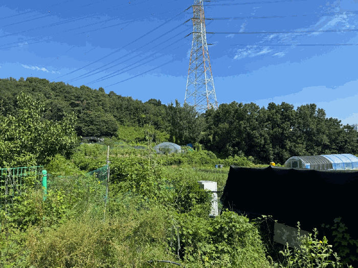 경기도 성남시 분당구 금곡동 492