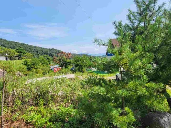 경기도 양평군 강하면 동오리 771-52