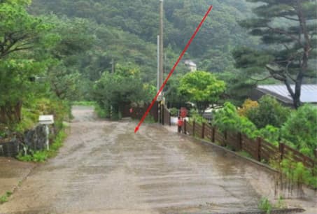 경기도 양평군 용문면 은행나무길 87-7