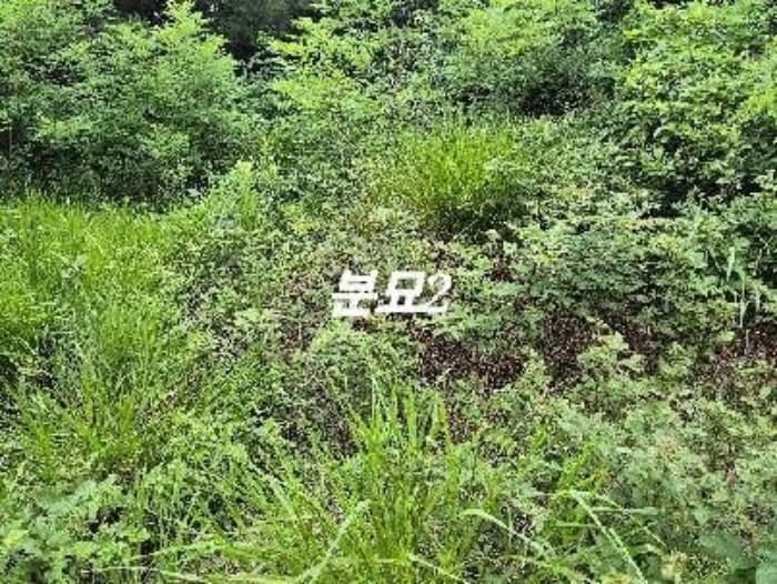 경기도 여주시 연라동 산50-5