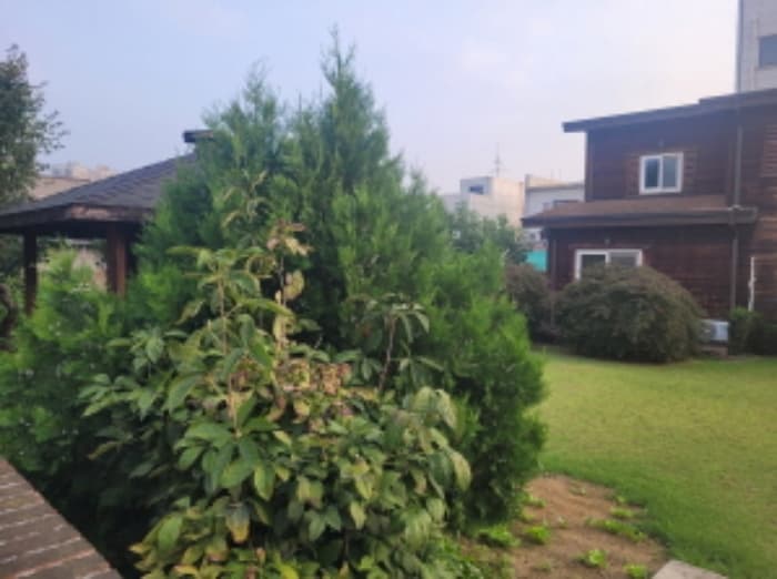 경기도 양평군 양평읍 흥청중앙길 2 (나동)