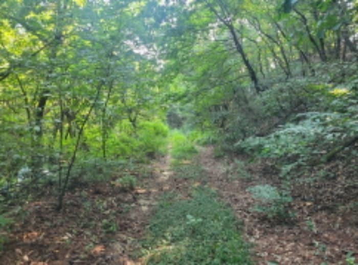 경기도 이천시 부발읍 아미리 산10-19