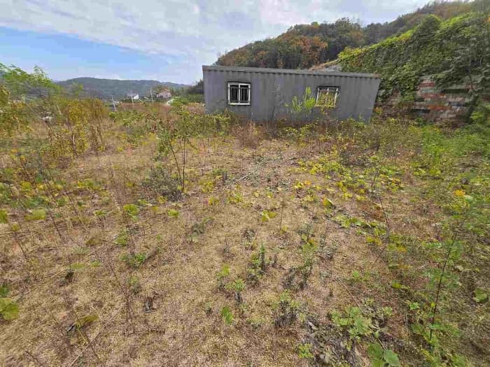 경기도 양평군 용문면 화전리 216-53