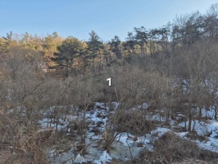 경기도 여주시 점동면 삼합리길 287