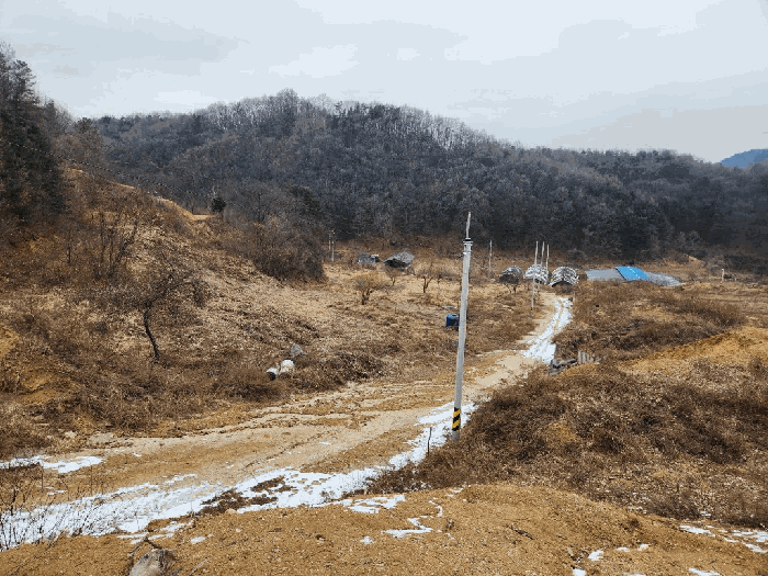 경기도 양평군 단월면 보룡리 164
