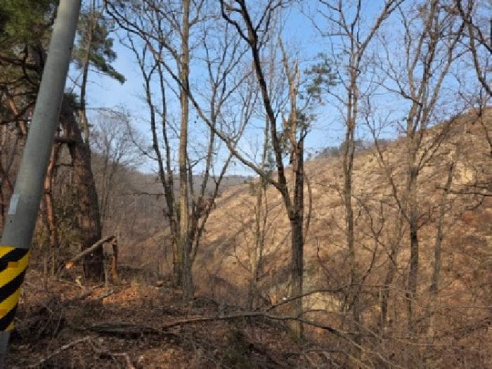 경기도 여주시 강천면 도전리 산55