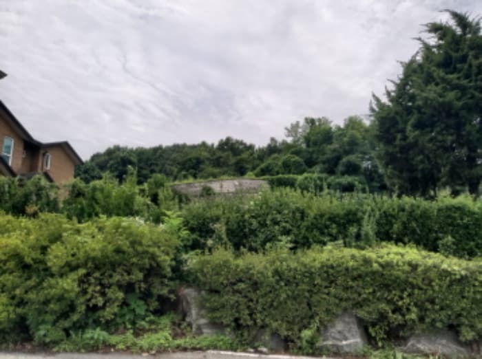 경기도 평택시 이충동 111-1