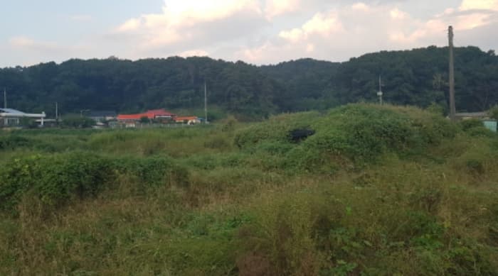 경기도 안성시 죽산면 두현리 40