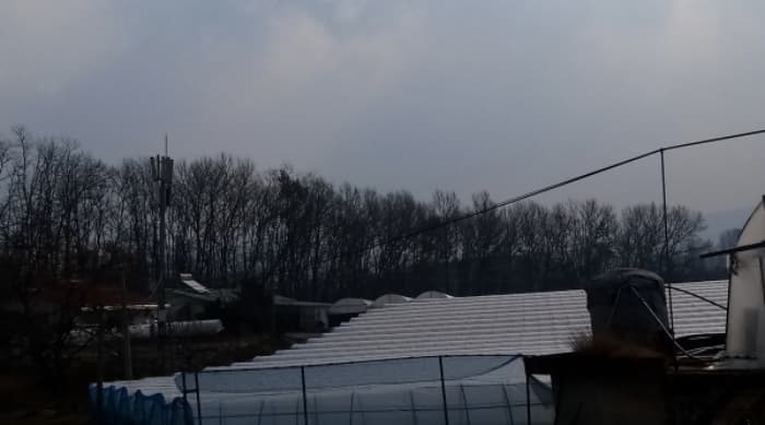 경기도 안성시 서운면 신흥리 산49-3