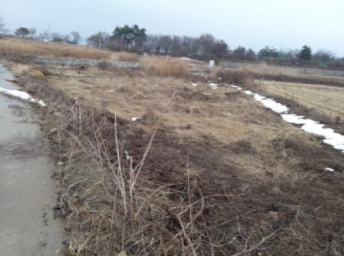 경기도 평택시 팽성읍 본정리 262-4