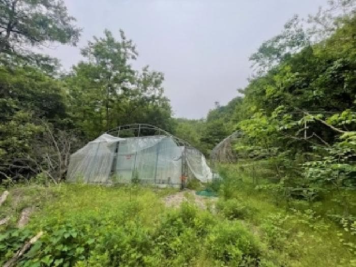경기도 안성시 죽산면 매산리 698