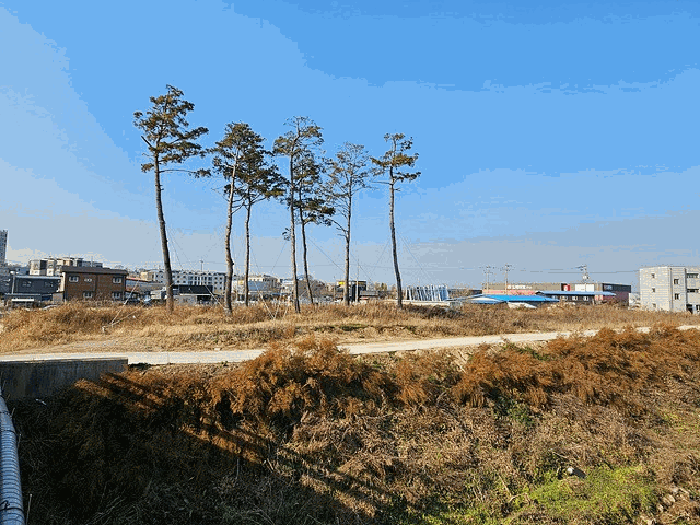 경기도 평택시 신장동 60